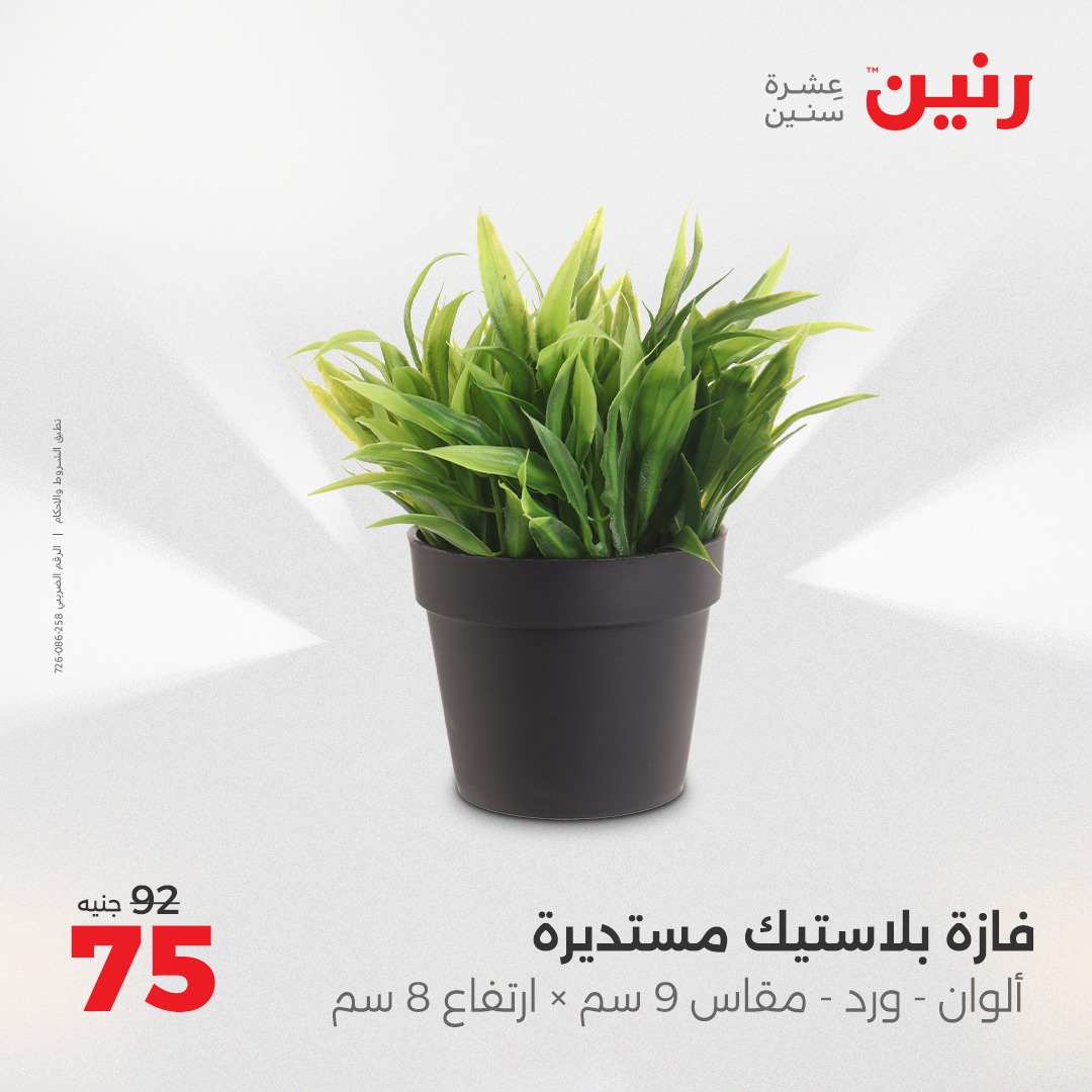 raneen offers from 10aug to 1aug 2025 عروض رنين من 10 أغسطس حتى 1 أغسطس 2025 صفحة رقم 24